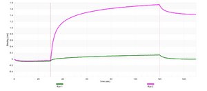 Anti-PAX7 Antibody, clone 2D12 ZooMAb® Rabbit Monoclonal recombinant, expressed in HEK 293 cells