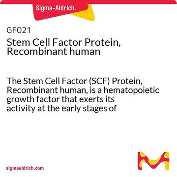 Stem Cell Factor Protein, Recombinant human The Stem Cell Factor (SCF) Protein, Recombinant human, is a hematopoietic growth factor that exerts its activity at the early stages of hematopoiesis.