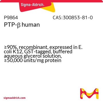 PTP-&#946; human &#8805;90%, recombinant, expressed in E. coli K12, GST-tagged, buffered aqueous glycerol solution, &#8805;50,000&#160;units/mg protein