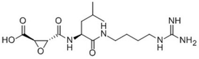 E-64 Protease Inhibitor The E-64 Protease Inhibitor, also referenced under CAS 66701-25-5, controls the biological activity of E-64 Protease. This small molecule/inhibitor is primarily used for Protease Inhibitors applications.