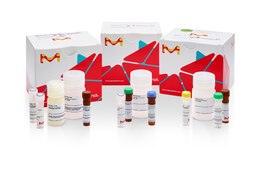 Fluorometric Intracellular Ros Kit