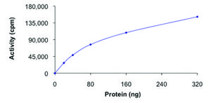 EPHA1 (569-end), active, GST tagged from mouse PRECISIO® Kinase, recombinant, expressed in baculovirus infected Sf9 cells, ≥70% (SDS-PAGE), buffered aqueous glycerol solution