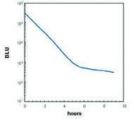 Lumi-Light Western Blotting Substrate