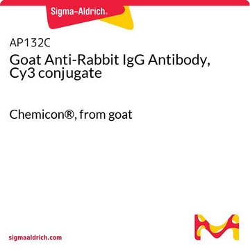 山羊抗兔IgG抗体，Cy3偶联 Chemicon&#174;, from goat