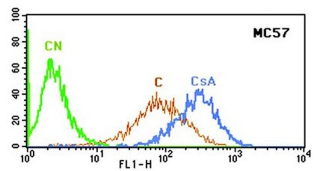 Anti-MDR1 Antibody, extracellular human specific Pgp, clone MC57 clone MC57, Chemicon&#174;, from mouse