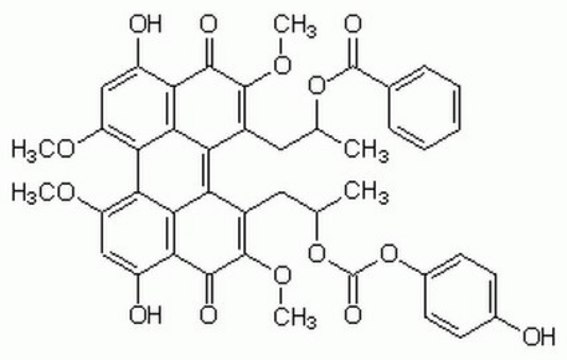 Calphostin C, Cladosporium cladosporioides A cell permeable, highly specific inhibitor of protein kinase C (IC&#8325;&#8320; = 50 nM) that interacts with the protein&#8242;s regulatory domain by competing at the binding site of diacylglycerol and phorbol esters.