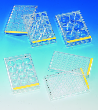 TPP&#174; tissue culture plates 12 well plate, flat bottom, polystyrene, 3.60 cm2, sterile, 126/cs