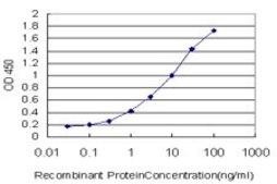 Monoclonal Anti-SREBF1 antibody produced in mouse clone 4C11, purified immunoglobulin, buffered aqueous solution