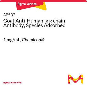 Goat Anti-Human Ig &#954; chain Antibody, Species Adsorbed 1&#160;mg/mL, Chemicon&#174;