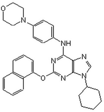 嘌吗啡胺 A cell-permeable activator of Hedgehog signaling that induces osteoblast differentiation of multipotent mesenchymal progenitor cells C3H10T1/2 (EC&#8325;&#8320; = 1 &#181;M).