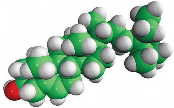 sitosterol Avanti Polar Lipids