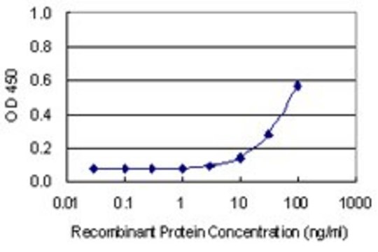 Monoclonal Anti-C21orf2 antibody produced in mouse clone 1E4, purified immunoglobulin, buffered aqueous solution