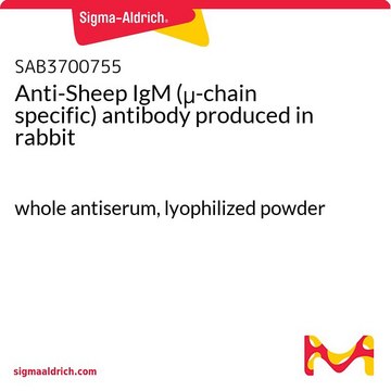 Anti-Sheep IgM (&#956;-chain specific) antibody produced in rabbit whole antiserum, lyophilized powder