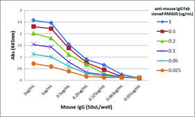 Anti-Mouse IgG Fab antibody, Goat monoclonal recombinant, expressed in HEK 293 cells, clone RMG05, purified immunoglobulin