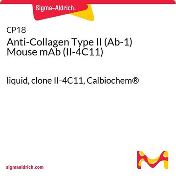 Anti-Collagen Type II (Ab-1) Mouse mAb (II-4C11) liquid, clone II-4C11, Calbiochem&#174;