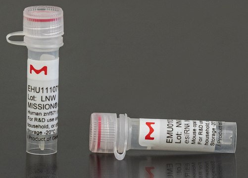 MISSION&#174; esiRNA targeting human VAX2