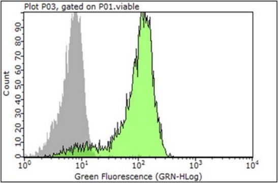 Anti-NLRP12 Antibody from rabbit, purified by affinity chromatography