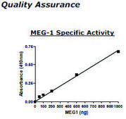 MEG-1 Active human recombinant, expressed in E. coli, ≥90% (SDS-PAGE)