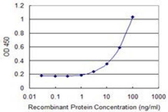 Monoclonal Anti-DPAGT1 antibody produced in mouse clone 1G1, purified immunoglobulin, buffered aqueous solution