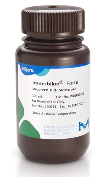 Immobilon Forte Western HRP 底物, 100 mL Western blotting, dot/slot blotting