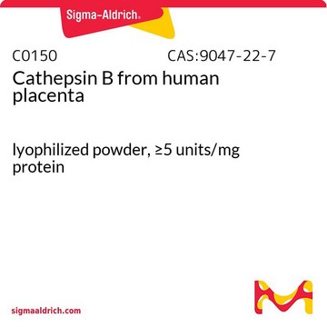 Cathepsin B from human placenta lyophilized powder, &#8805;5&#160;units/mg protein