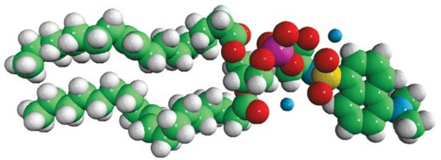 18:1 Dansyl PS Avanti Polar Lipids