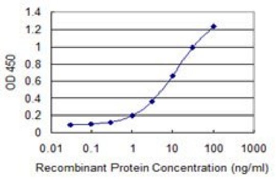 Monoclonal Anti-MSL2L1 antibody produced in mouse clone 3A4, purified immunoglobulin, buffered aqueous solution