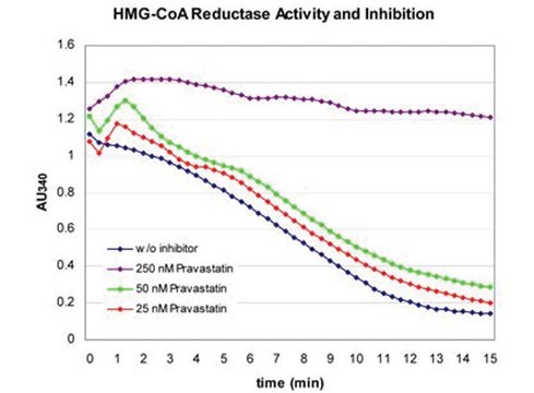 HMG-CoA 还原酶检测试剂盒 sufficient for 30&#160;assays (1 mL), sufficient for 100&#160;assays (200 &#956;L)