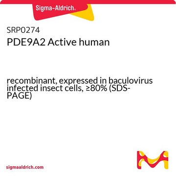 PDE9A2 Active human recombinant, expressed in baculovirus infected insect cells, &#8805;80% (SDS-PAGE)