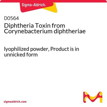 Diphtheria Toxin from Corynebacterium diphtheriae lyophilized powder, Product is in unnicked form