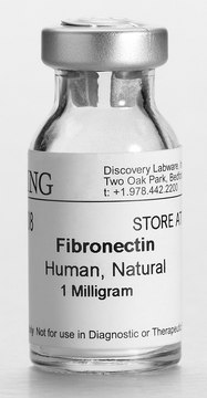 Corning&#174; Fibronectin from human, pack of 1&#160;mg