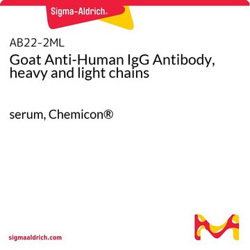 Goat Anti-Human IgG Antibody, heavy and light chains serum, Chemicon&#174;