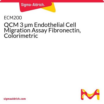 QCM 3 &#181;m Endothelial Cell Migration Assay Fibronectin, Colorimetric