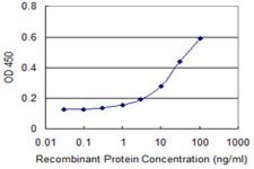 Monoclonal Anti-SGKL, (N-terminal) antibody produced in mouse clone 2A7, purified immunoglobulin, buffered aqueous solution