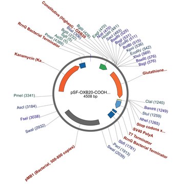 PSF-OXB20-COOH-GST - C-TERMINAL GST TAG BACTERIAL PLASMID plasmid vector for molecular cloning