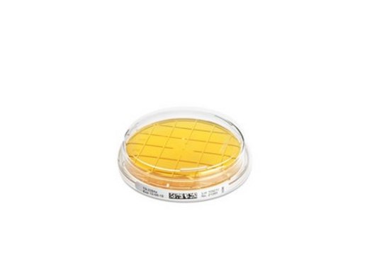 胰蛋白胨大豆琼脂培养基 - 即用型接触平板 Tween&#174;, Lecithin, ICR plate with non-lockable lid, plate diam. 55&#160;mm, sterile; &#947;-irradiated, pkg of 10&#160;plates Triple packed, suitable for surface monitoring