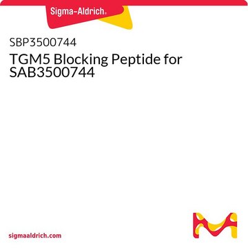 TGM5 Blocking Peptide for SAB3500744