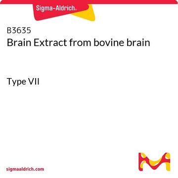 Brain Extract from bovine brain Type VII