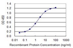 Monoclonal Anti-CNTN4 antibody produced in mouse clone 4B10, purified immunoglobulin, buffered aqueous solution