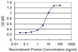 Monoclonal Anti-MBNL1 antibody produced in mouse clone 1D11, purified immunoglobulin, buffered aqueous solution
