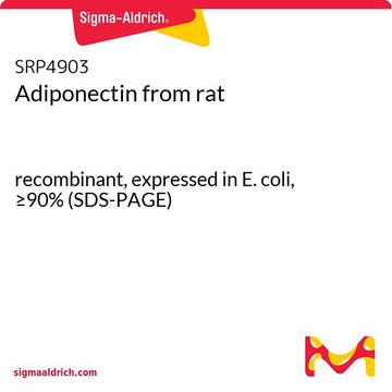 Adiponectin from rat recombinant, expressed in E. coli, &#8805;90% (SDS-PAGE)