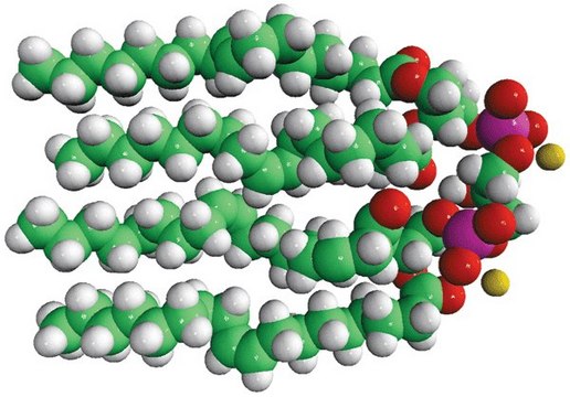 18:1 Cardiolipin Avanti Polar Lipids