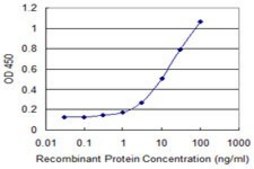 Monoclonal Anti-SUSD5 antibody produced in mouse clone 4G3, purified immunoglobulin, buffered aqueous solution