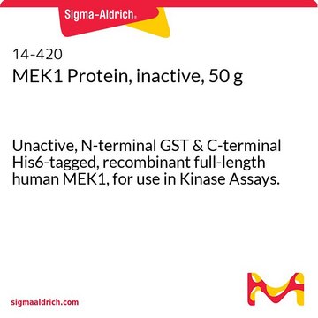 MEK1 Protein, inactive, 50 g Unactive, N-terminal GST &amp; C-terminal His6-tagged, recombinant full-length human MEK1, for use in Kinase Assays.