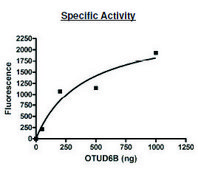 OTUD6B active human recombinant, expressed in E. coli, ≥80% (SDS-PAGE)
