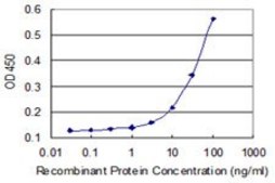 Monoclonal Anti-RHPN2 antibody produced in mouse clone 1C5, purified immunoglobulin, buffered aqueous solution