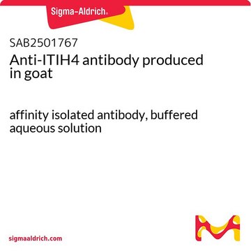 Anti-ITIH4 antibody produced in goat affinity isolated antibody, buffered aqueous solution