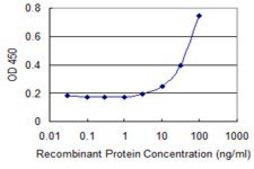 Monoclonal Anti-ZHX3 antibody produced in mouse clone 1D9, purified immunoglobulin, buffered aqueous solution