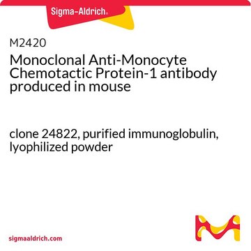 Monoclonal Anti-Monocyte Chemotactic Protein-1 antibody produced in mouse clone 24822, purified immunoglobulin, lyophilized powder