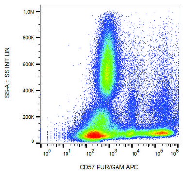 Monoclonal Anti-CD57 antibody produced in mouse clone TB01